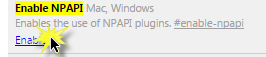enable_npapi